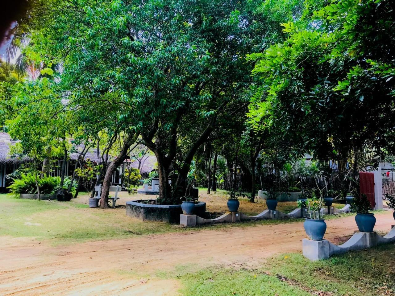 Werala Beach Resort Kalpitiya Dış mekan fotoğraf