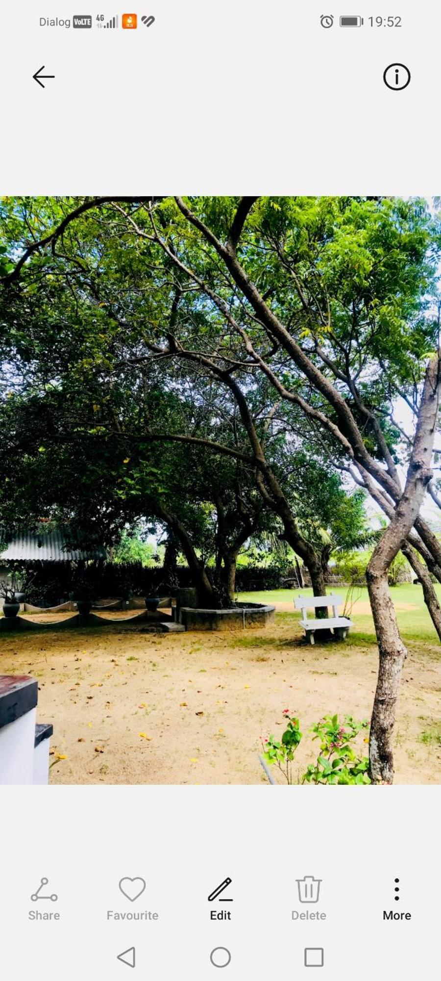 Werala Beach Resort Kalpitiya Dış mekan fotoğraf